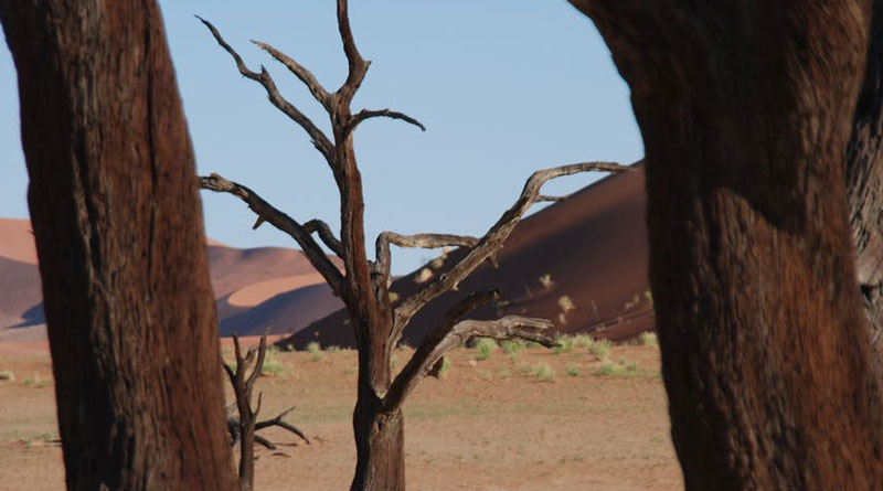Travel in Namibia: Like Walking on Mars 8