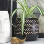 Easy ways to reduce stress and improve mental clarity. Easy ways to reduce stress and improve mental clarity.