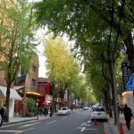Why Seongsu-dong is the New Heart of Seoul