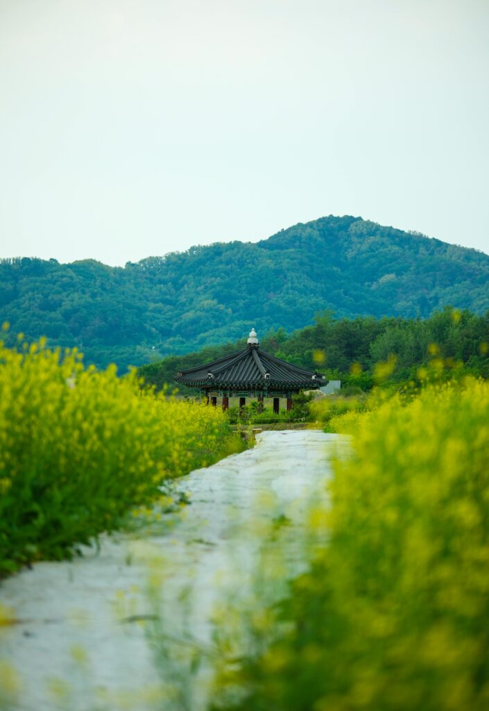 The Architecture of Solitude: Why Global Nomads Seek the Dark Alleys of Rural Korea A peaceful traditional Korean Hanok courtyard with stone steps surrounded by lush green mountains in rural Korea