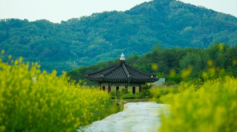 A peaceful traditional Korean Hanok courtyard with stone steps surrounded by lush green mountains in rural Korea